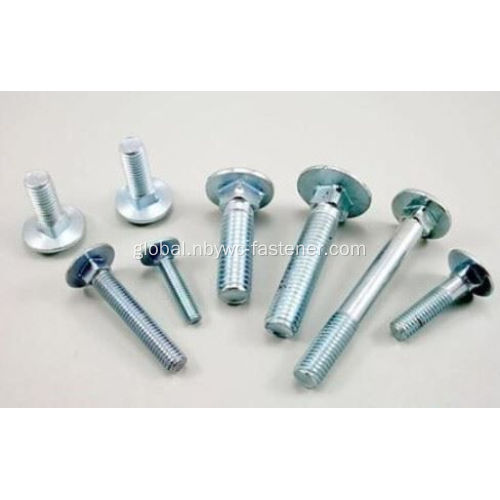 Carriage Bolt Stainless Steel Carriage Bolt Supplier